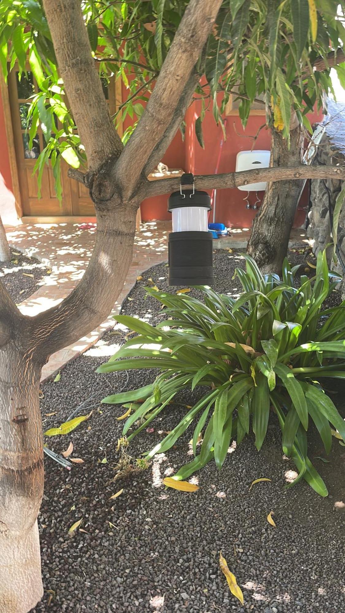 Casa Mamei Valle Gran Rey Luaran gambar
